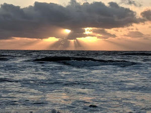 Meet your Posher, Adrienne